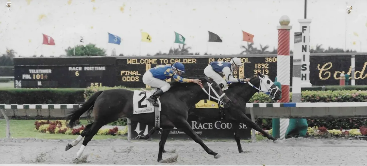 J.A.Hayford, Owner / Cobra Bay, 2nd / Mecke Rooney, 3rd / 5 Furlongs / 1:01 / Danielles Magic / Calder Race Course / Danush Sukie, up / Trained By Owner / July 14, 2001 / Copyright / Jean Raftery Photos