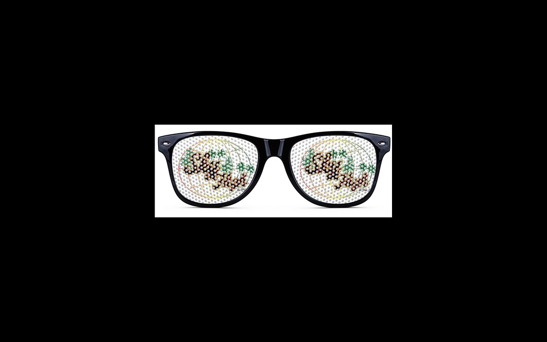 Life Journey Sunglasses